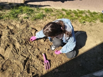 18c66646-d0db-45e8-9321-660d1e29c68e