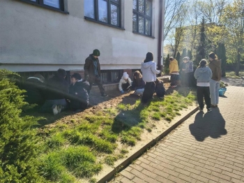 493cbc8a-70d3-4c85-9fb4-e2055ff4bb5a