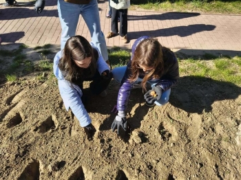 0595a246-0cb8-4692-ab22-e7903cc2a28e