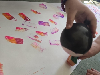 Multimedia(13)