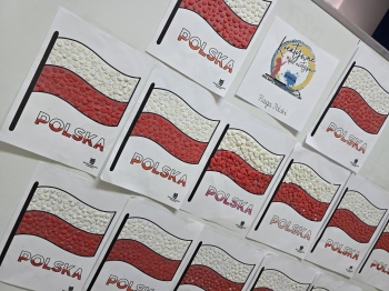 Multimedia(22)