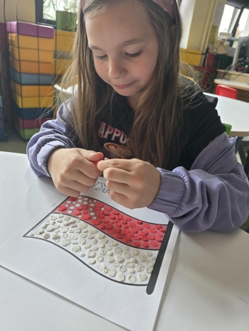 Multimedia(17)