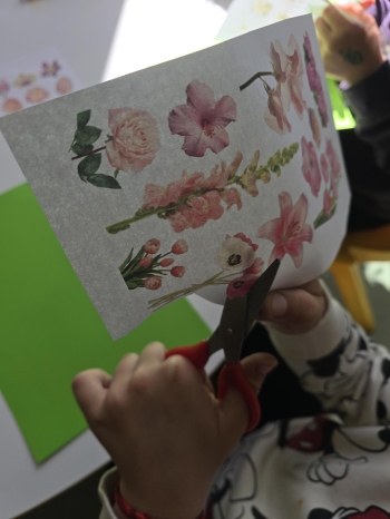 Multimedia(26)