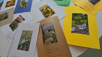 Multimedia(11)