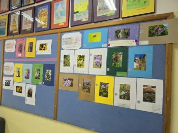 Multimedia(12)