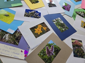 Multimedia(10)