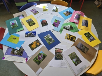 Multimedia(9)