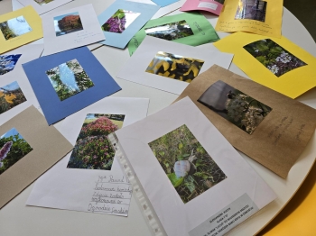 Multimedia(8)