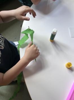 Image(27)
