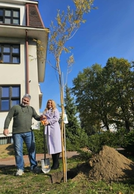 Drzewo jako symbol długowieczności i trwałości